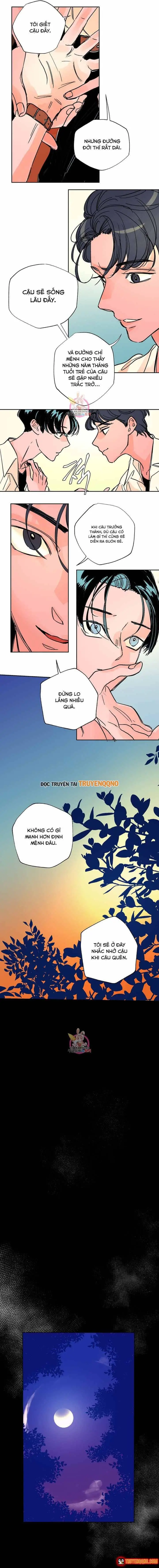 Bá Tước Tachibana Chapter 39 - Trang 11