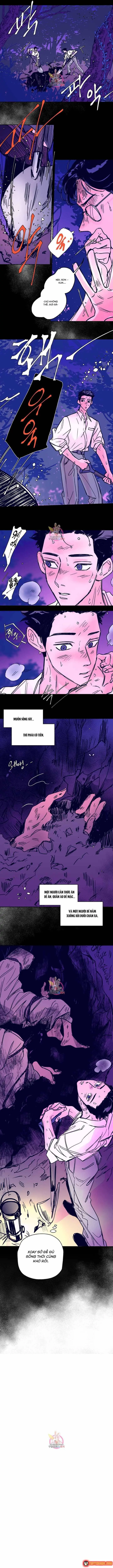 Bá Tước Tachibana Chapter 39 - Trang 12