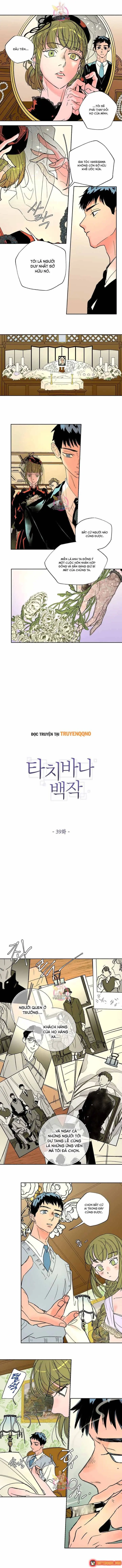 Bá Tước Tachibana Chapter 39 - Trang 4