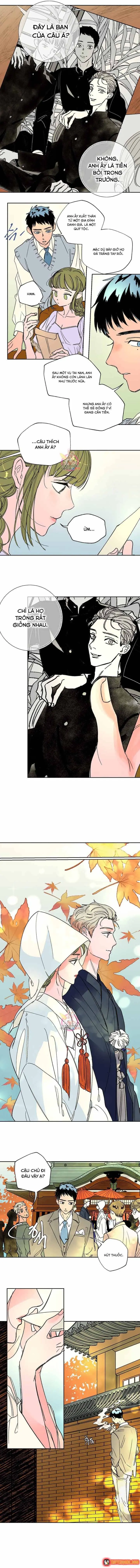 Bá Tước Tachibana Chapter 39 - Trang 5