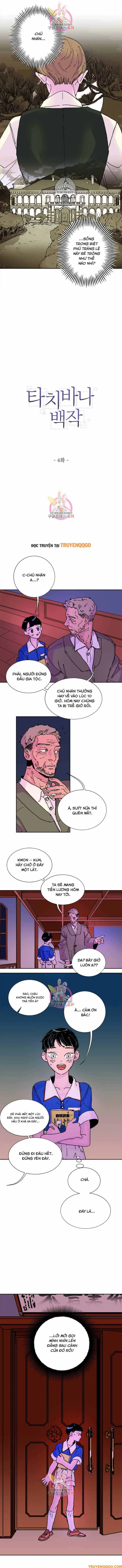 Bá Tước Tachibana Chapter 4 - Trang 3