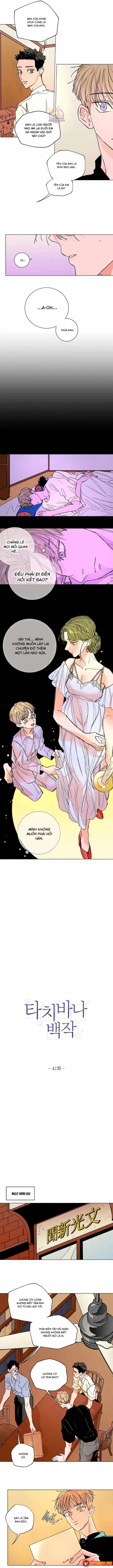 Bá Tước Tachibana Chapter 41 - Trang 5