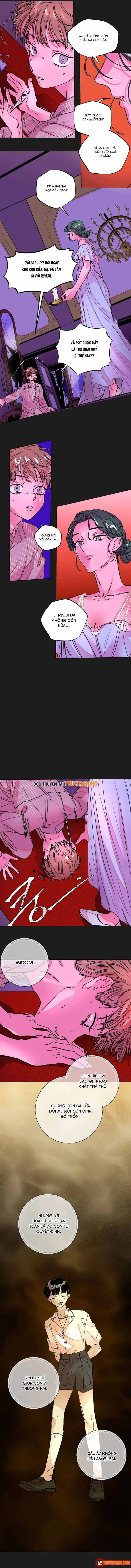 Bá Tước Tachibana Chapter 42 - Trang 5