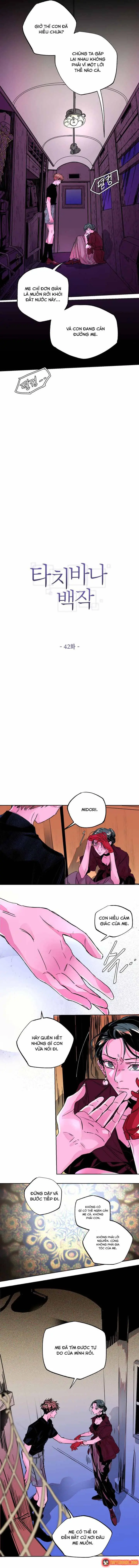 Bá Tước Tachibana Chapter 42 - Trang 9
