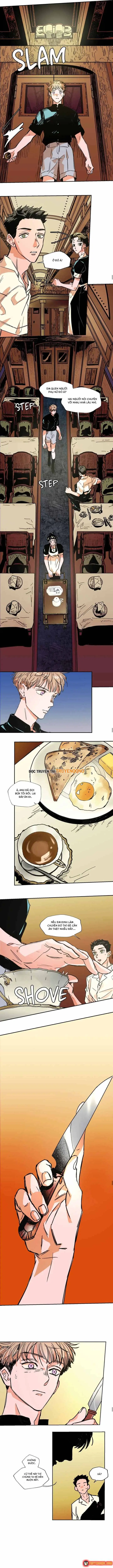 Bá Tước Tachibana Chapter 43 - Trang 8