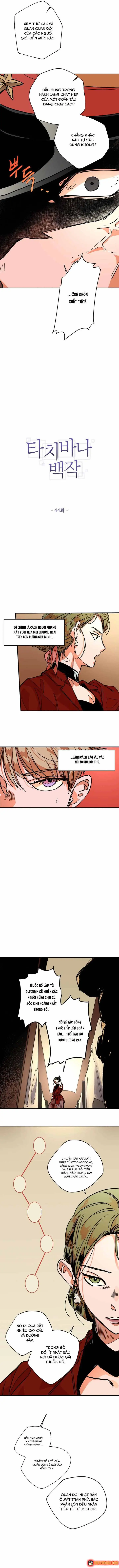 Bá Tước Tachibana Chapter 44 - Trang 8