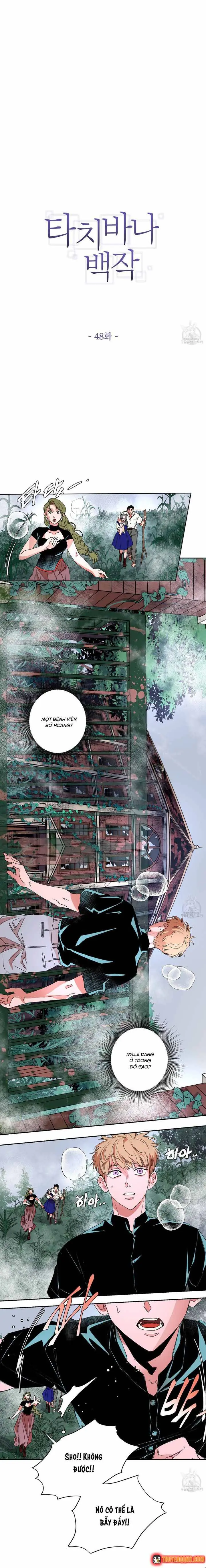 Bá Tước Tachibana Chapter 48 - Trang 3