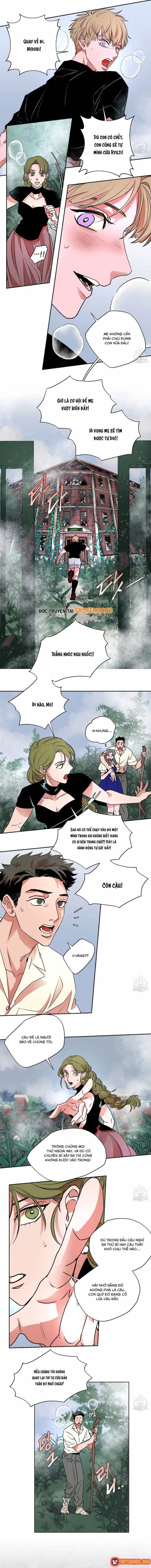 Bá Tước Tachibana Chapter 48 - Trang 4