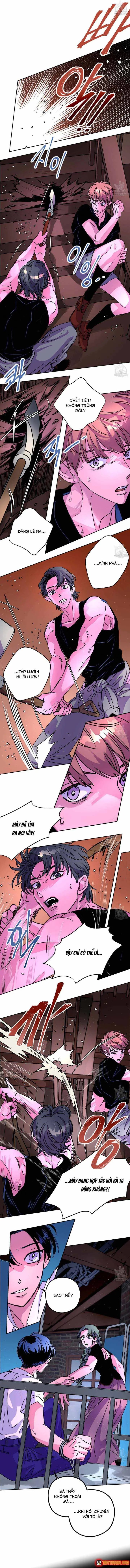 Bá Tước Tachibana Chapter 49 - Trang 10