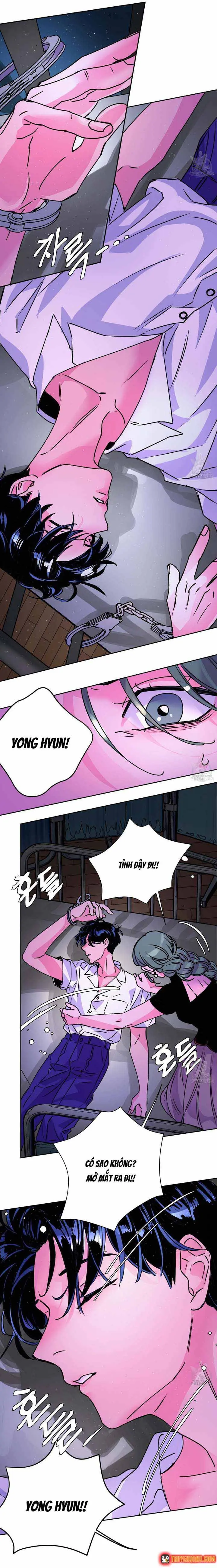 Bá Tước Tachibana Chapter 49 - Trang 8