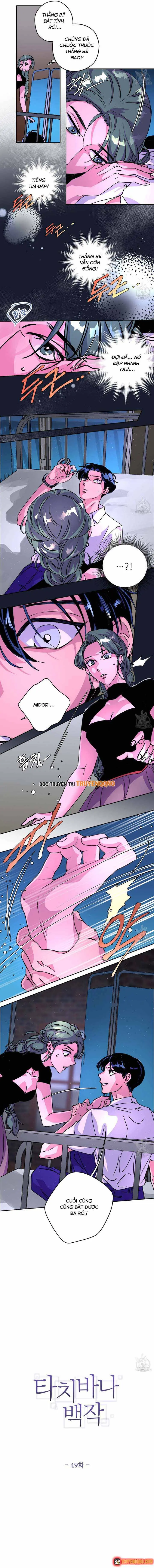 Bá Tước Tachibana Chapter 49 - Trang 9
