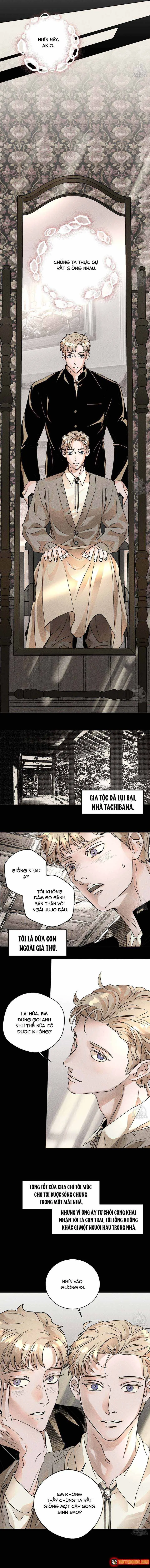 Bá Tước Tachibana Chapter 50 - Trang 5