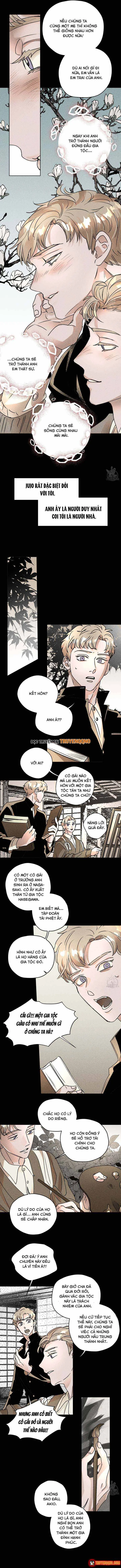 Bá Tước Tachibana Chapter 50 - Trang 6