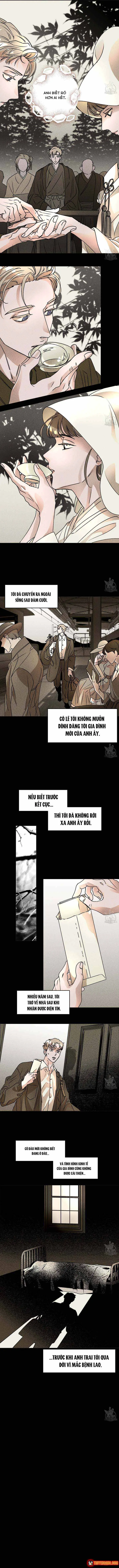 Bá Tước Tachibana Chapter 50 - Trang 7