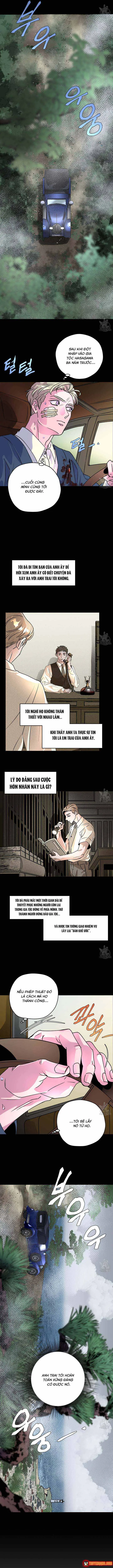 Bá Tước Tachibana Chapter 50 - Trang 8