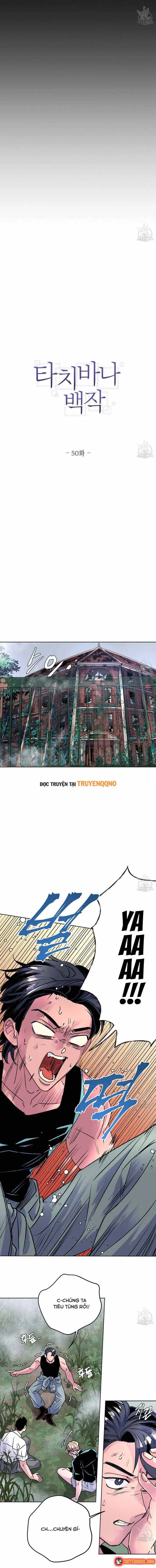 Bá Tước Tachibana Chapter 50 - Trang 9