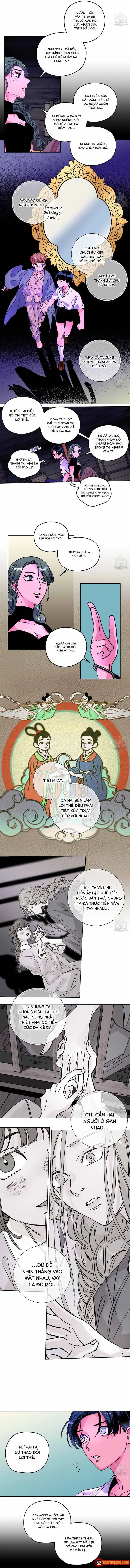 Bá Tước Tachibana Chapter 52 - Trang 8