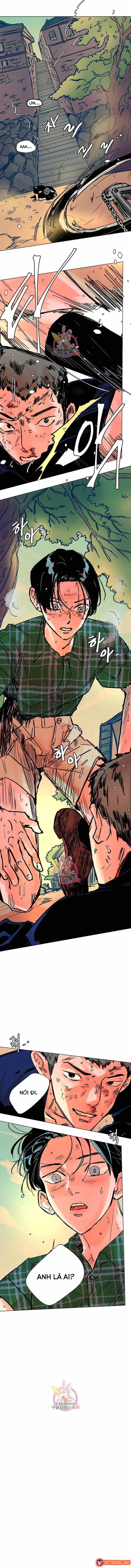 Bá Tước Tachibana Chapter 53 - Trang 7