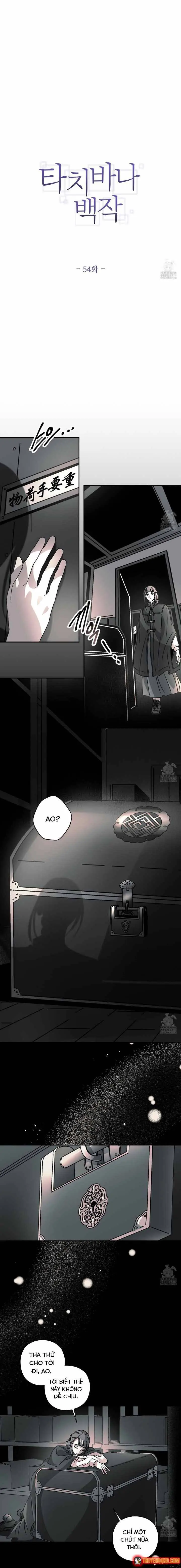 Bá Tước Tachibana Chapter 54 - Trang 3