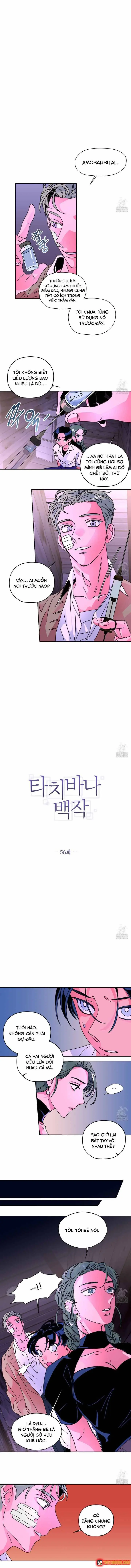 Bá Tước Tachibana Chapter 56 - Trang 3