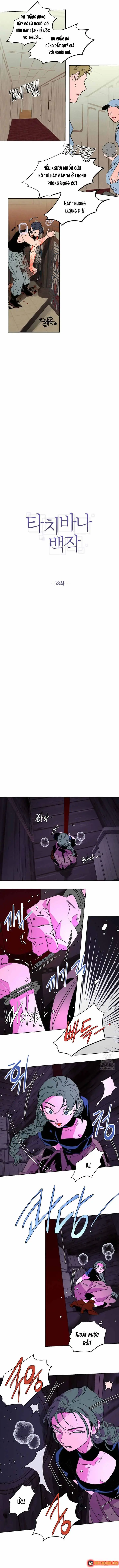 Bá Tước Tachibana Chapter 58 - Trang 7