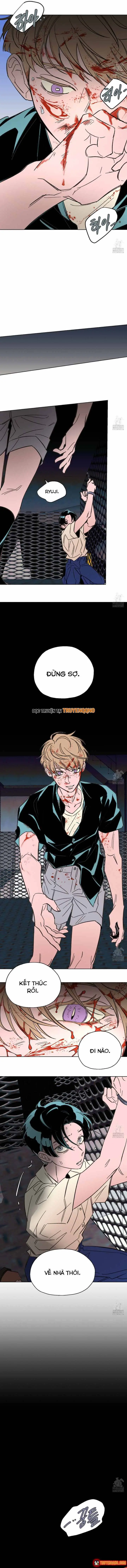 Bá Tước Tachibana Chapter 60 - Trang 11