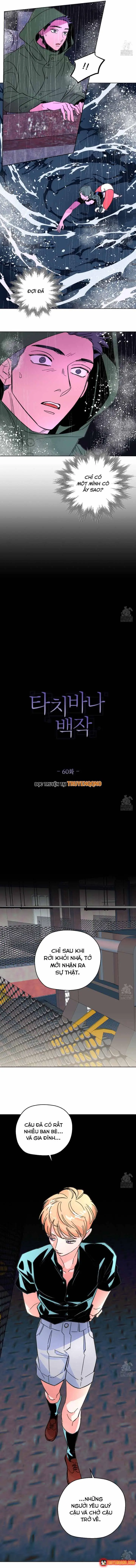 Bá Tước Tachibana Chapter 60 - Trang 4