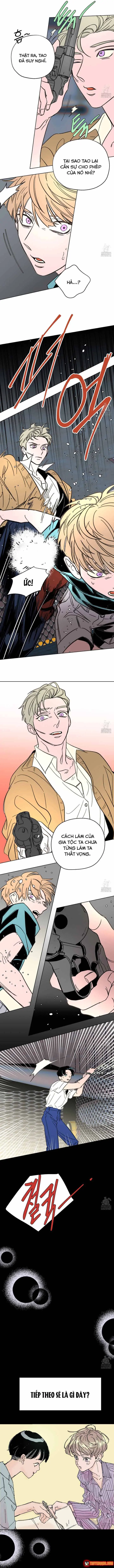 Bá Tước Tachibana Chapter 60 - Trang 7