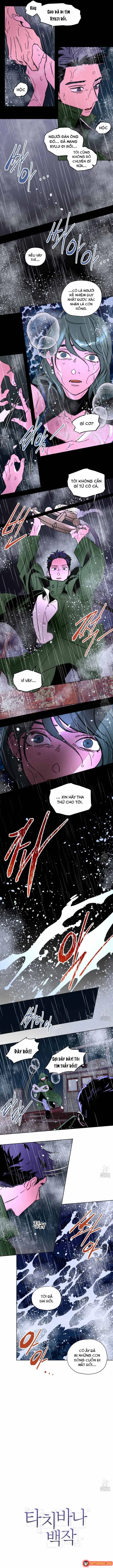 Bá Tước Tachibana Chapter 61 - Trang 6