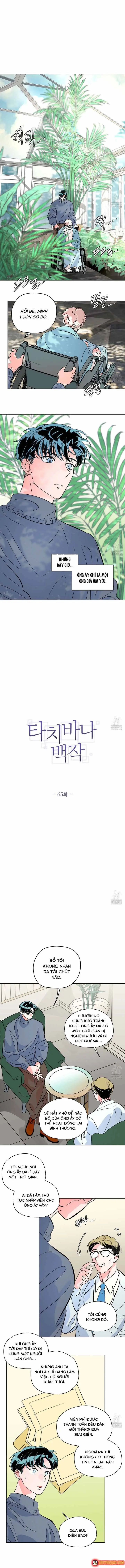 Bá Tước Tachibana Chapter 65 - Trang 4