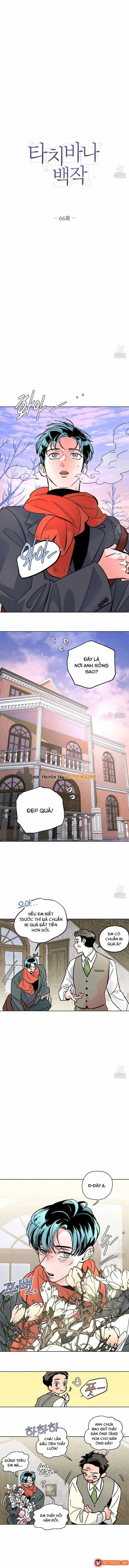 Bá Tước Tachibana Chapter 66 - Trang 5