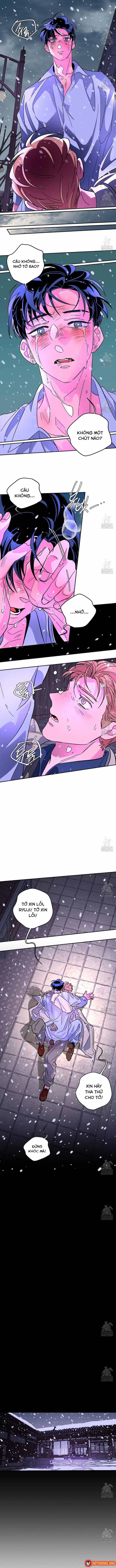 Bá Tước Tachibana Chapter 67 - Trang 13
