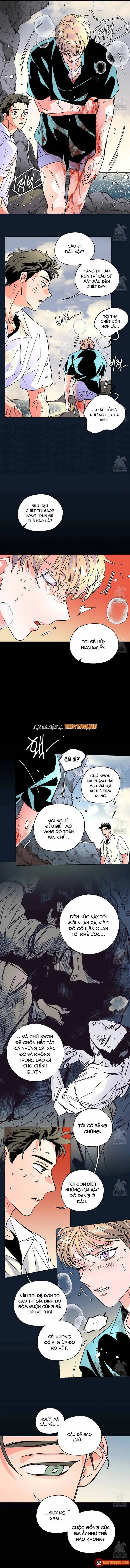 Bá Tước Tachibana Chapter 67 - Trang 7