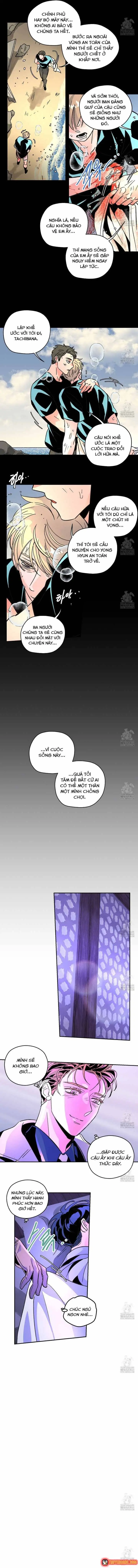 Bá Tước Tachibana Chapter 67 - Trang 9