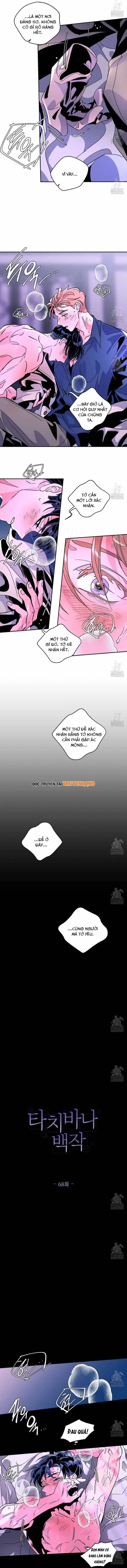 Bá Tước Tachibana Chapter 68 - Trang 7