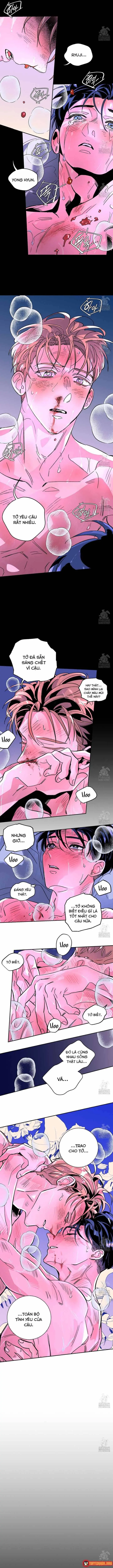Bá Tước Tachibana Chapter 68 - Trang 8
