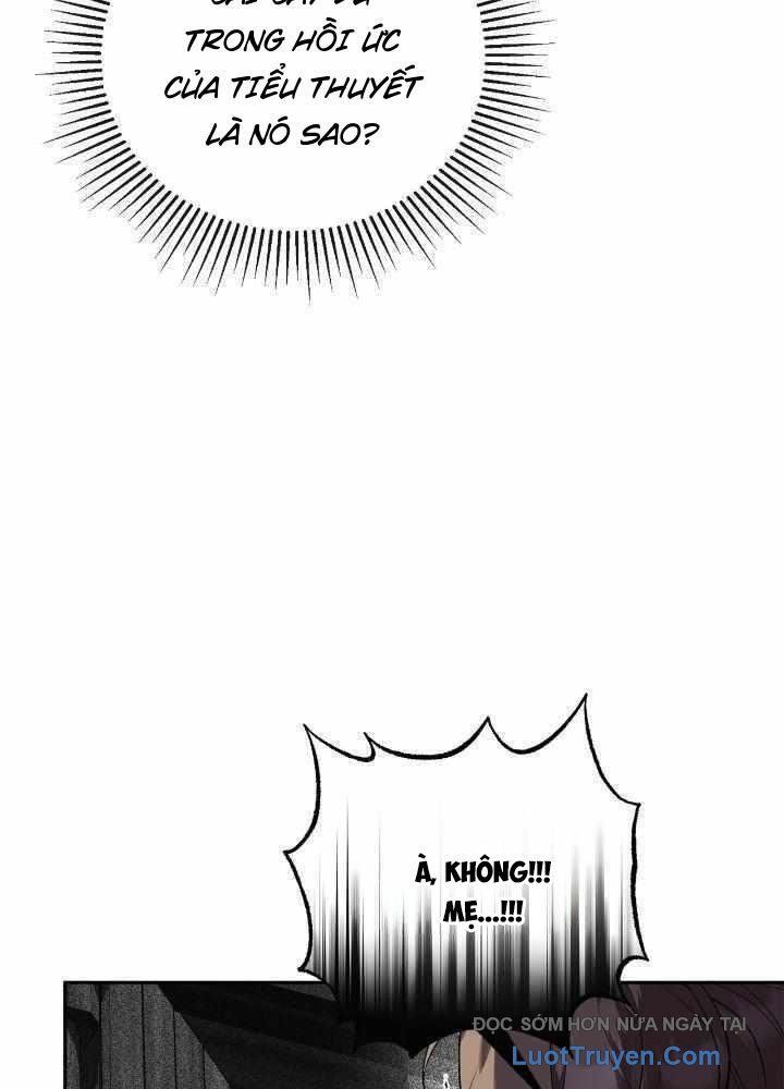 Bậc Thầy Giả Mạo Vô Tình Trở Thành Kẻ Mạnh Nhất Chapter 17 - Trang 13