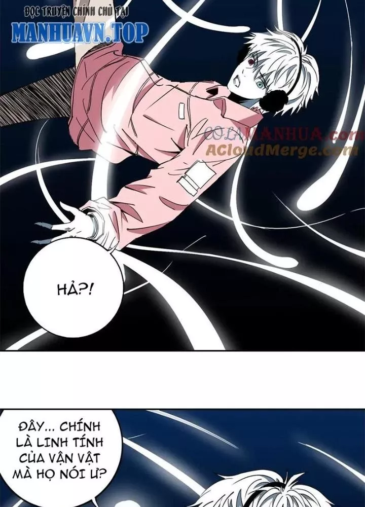 Bậc Thầy Pháp Sư Chapter 10 - Trang 50