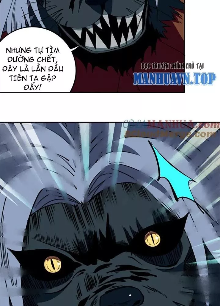 Bậc Thầy Pháp Sư Chapter 27 - Trang 10