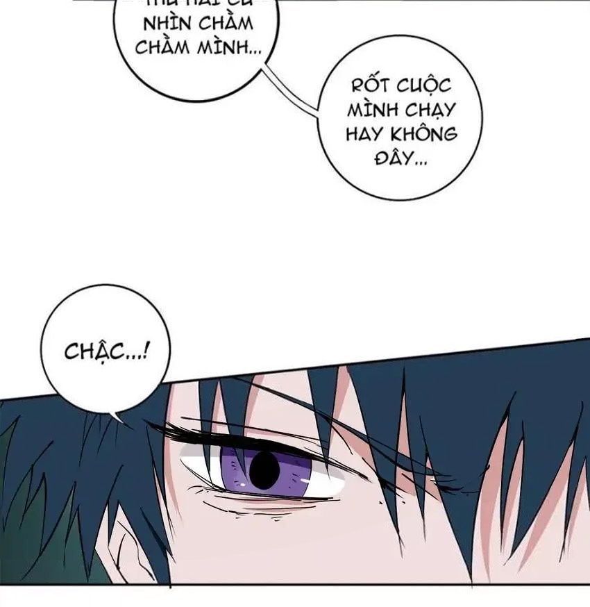 Bậc Thầy Pháp Sư Chapter 5 - Trang 21