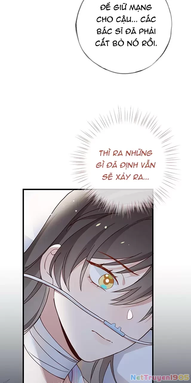 Bạch Nguyệt Quang Luôn Muốn Độc Chiếm Tôi Chapter 110 - Trang 33