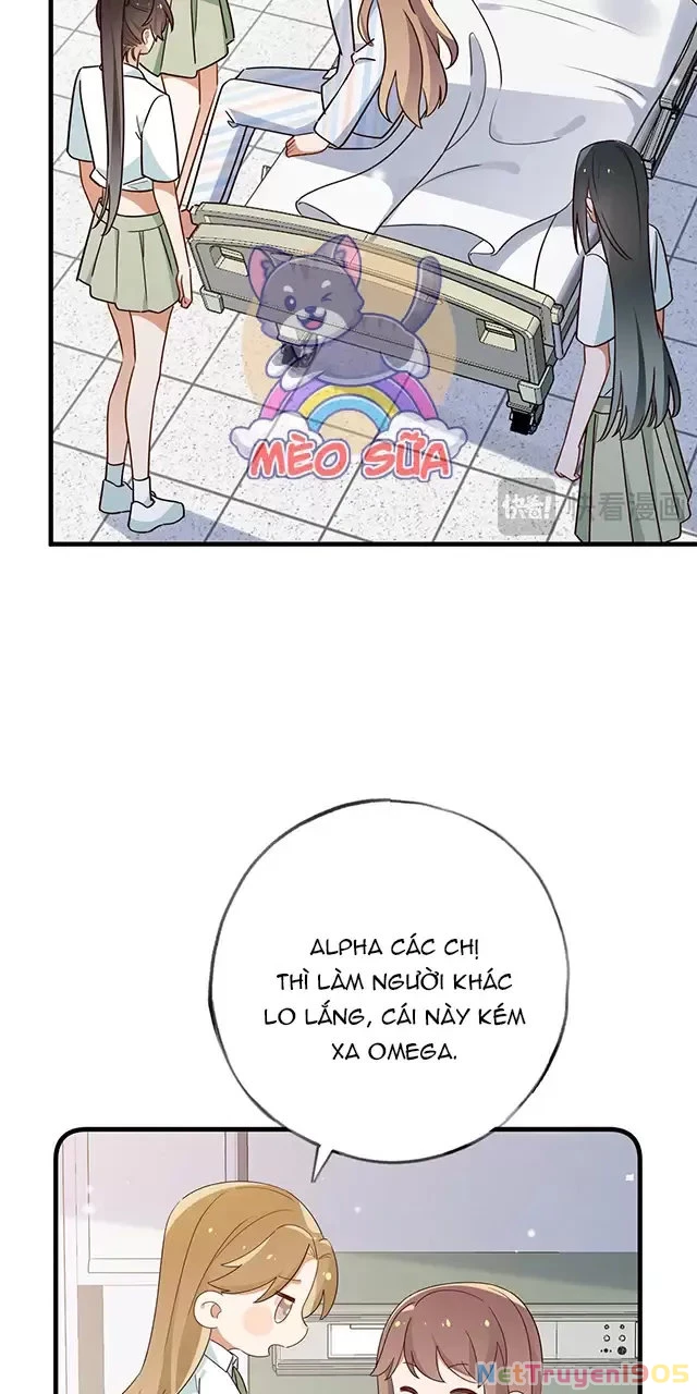Bạch Nguyệt Quang Luôn Muốn Độc Chiếm Tôi Chapter 73 - Trang 8