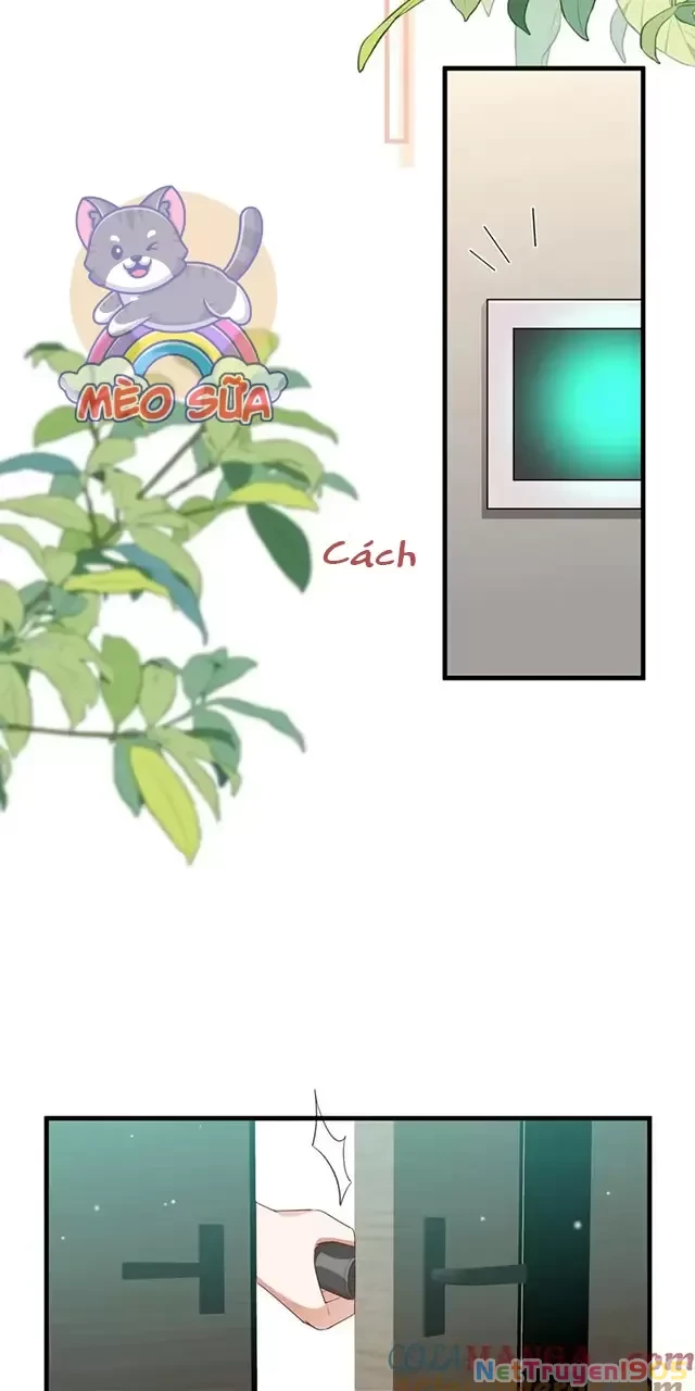 Bạch Nguyệt Quang Luôn Muốn Độc Chiếm Tôi Chapter 79 - Trang 14
