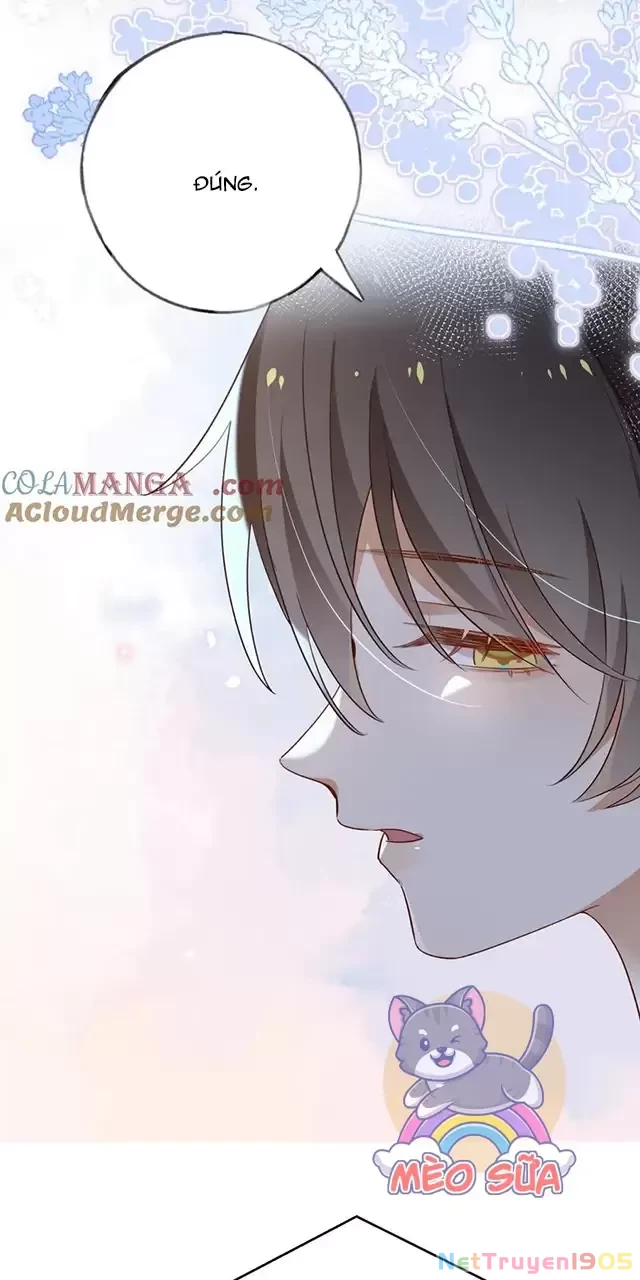 Bạch Nguyệt Quang Luôn Muốn Độc Chiếm Tôi Chapter 81 - Trang 9