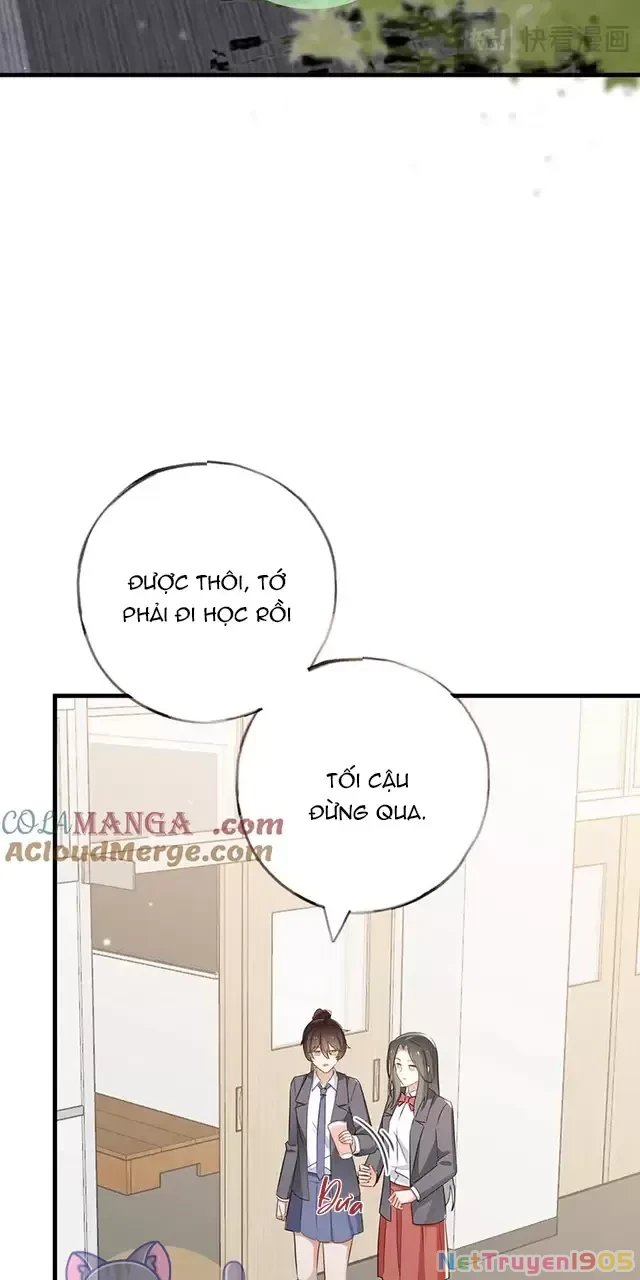 Bạch Nguyệt Quang Luôn Muốn Độc Chiếm Tôi Chapter 85 - Trang 19