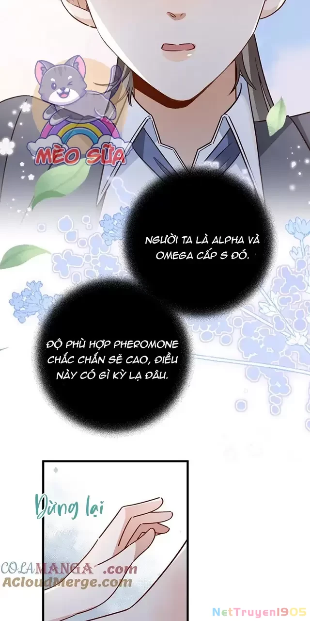 Bạch Nguyệt Quang Luôn Muốn Độc Chiếm Tôi Chapter 85 - Trang 42