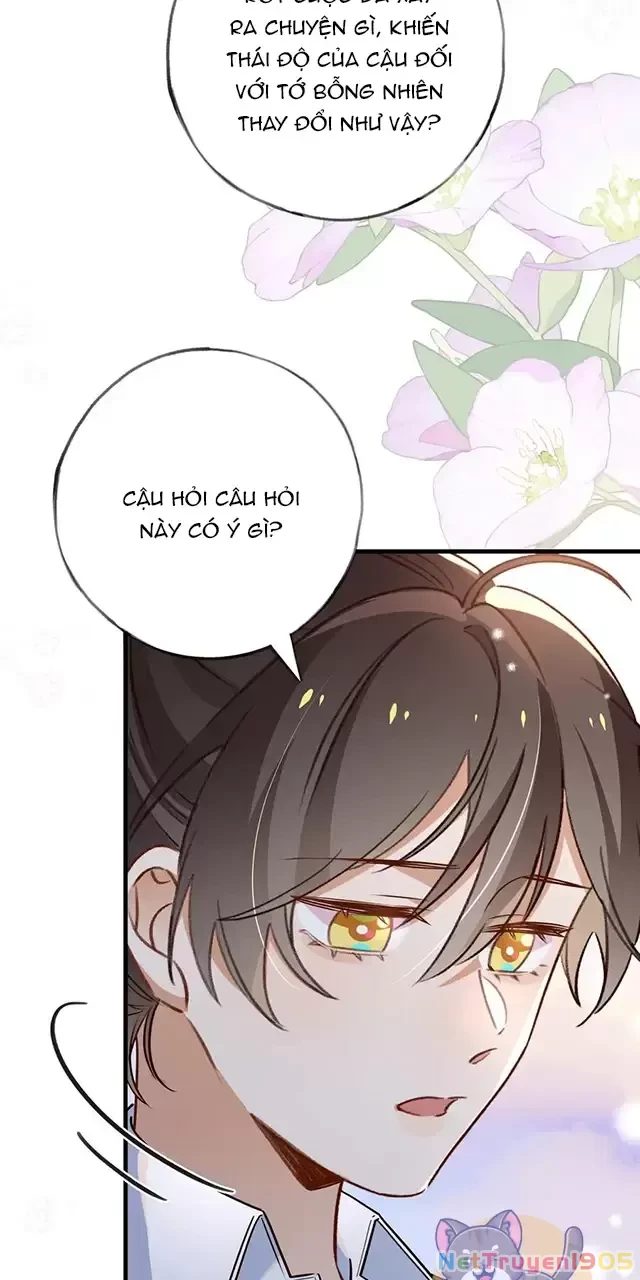 Bạch Nguyệt Quang Luôn Muốn Độc Chiếm Tôi Chapter 86 - Trang 11