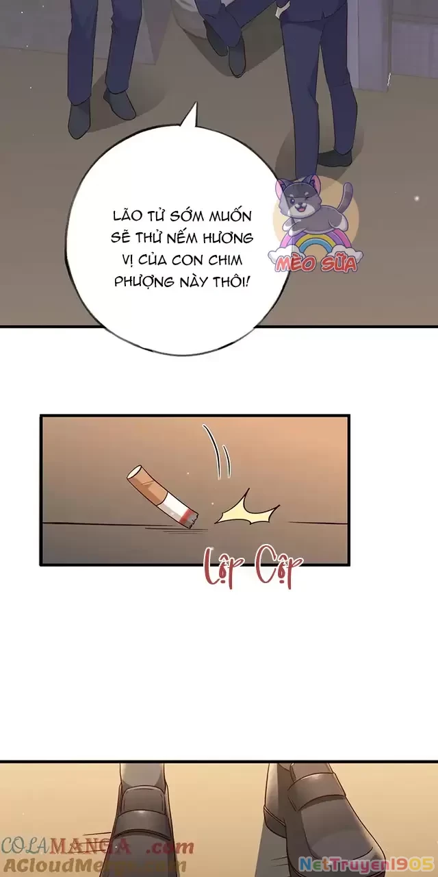 Bạch Nguyệt Quang Luôn Muốn Độc Chiếm Tôi Chapter 89 - Trang 30