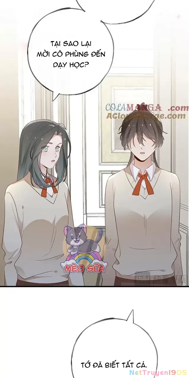 Bạch Nguyệt Quang Luôn Muốn Độc Chiếm Tôi Chapter 93 - Trang 36