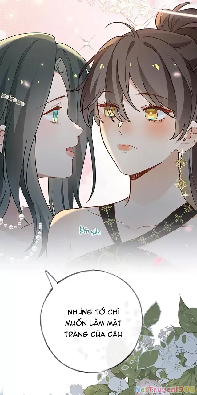 Bạch Nguyệt Quang Luôn Muốn Độc Chiếm Tôi Chapter 95 - Trang 12